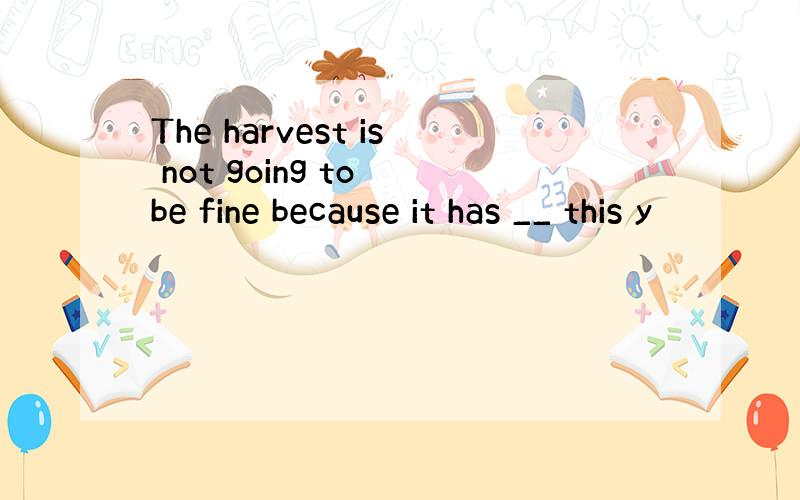 The harvest is not going to be fine because it has __ this y