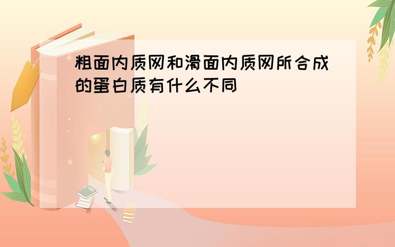 粗面内质网和滑面内质网所合成的蛋白质有什么不同