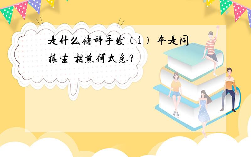 是什么修辞手发（1） 本是同根生 相煎何太急?