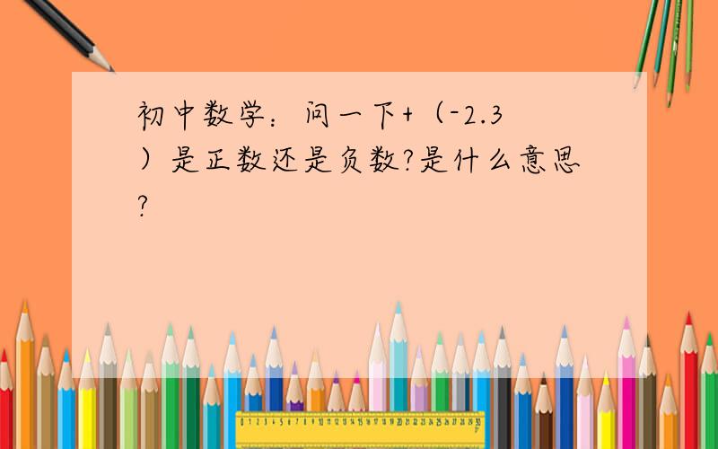 初中数学：问一下+（-2.3）是正数还是负数?是什么意思?