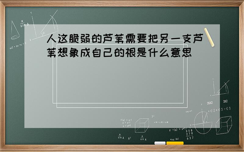 人这脆弱的芦苇需要把另一支芦苇想象成自己的根是什么意思