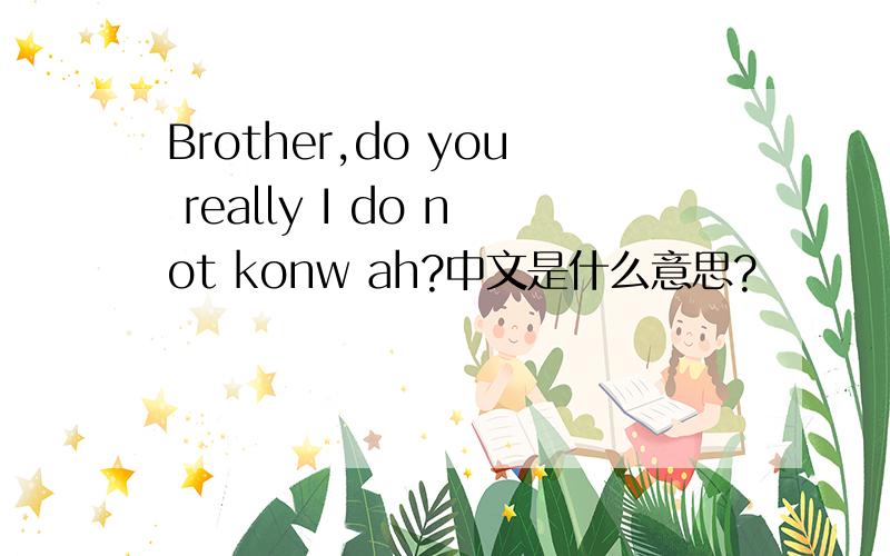 Brother,do you really I do not konw ah?中文是什么意思?