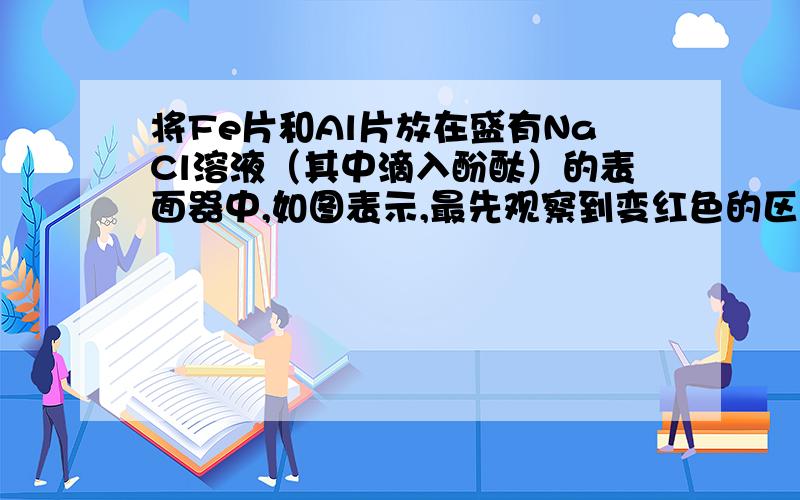 将Fe片和Al片放在盛有NaCl溶液（其中滴入酚酞）的表面器中,如图表示,最先观察到变红色的区域为：（第一图的哪个极和第