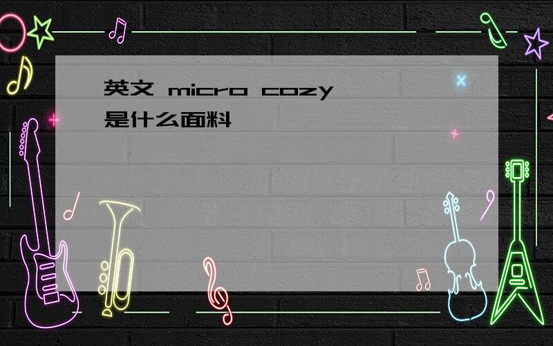 英文 micro cozy 是什么面料