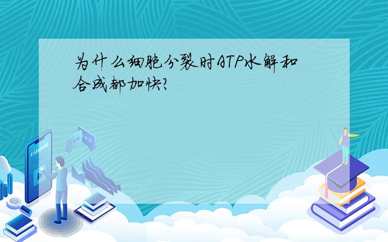 为什么细胞分裂时ATP水解和合成都加快?