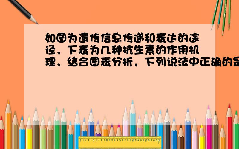 如图为遗传信息传递和表达的途径，下表为几种抗生素的作用机理，结合图表分析，下列说法中正确的是（　　）