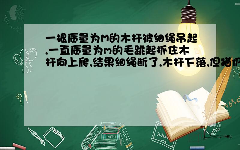 一根质量为M的木杆被细绳吊起,一直质量为m的毛跳起抓住木杆向上爬,结果细绳断了,木杆下落,但猫仍不停