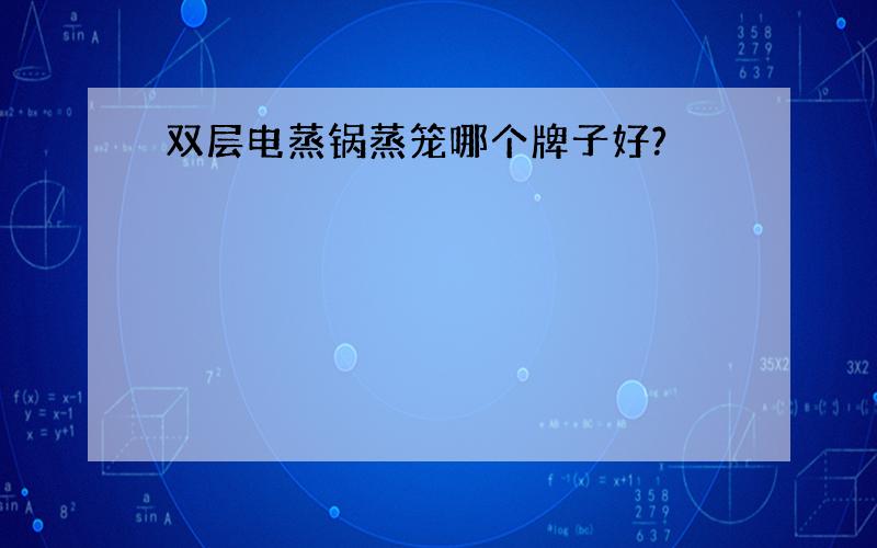 双层电蒸锅蒸笼哪个牌子好?