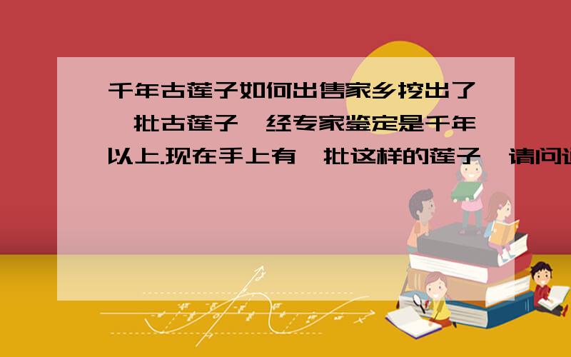 千年古莲子如何出售家乡挖出了一批古莲子,经专家鉴定是千年以上.现在手上有一批这样的莲子,请问通过什么途径获利?