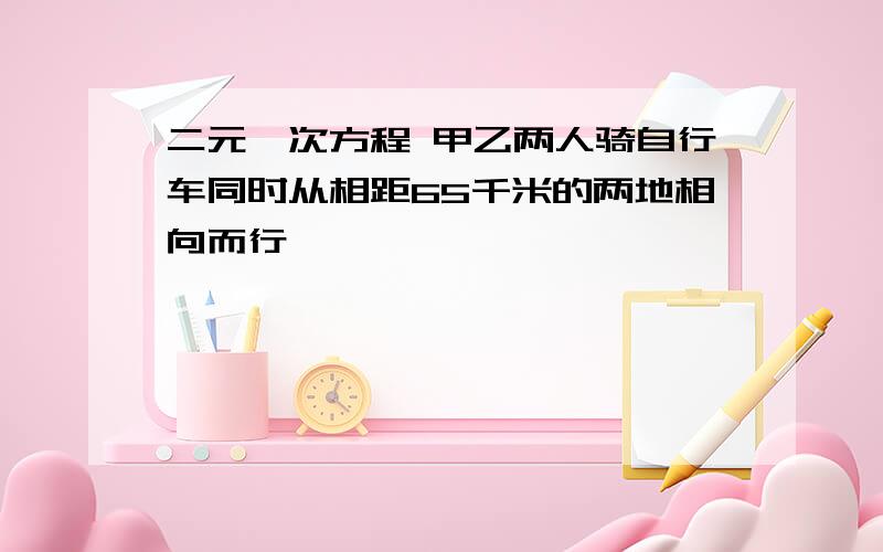 二元一次方程 甲乙两人骑自行车同时从相距65千米的两地相向而行