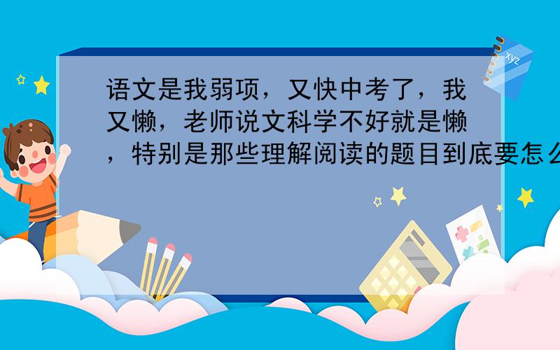 语文是我弱项，又快中考了，我又懒，老师说文科学不好就是懒，特别是那些理解阅读的题目到底要怎么办？