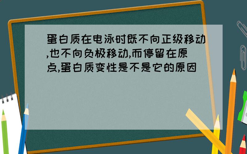 蛋白质在电泳时既不向正级移动,也不向负极移动,而停留在原点,蛋白质变性是不是它的原因