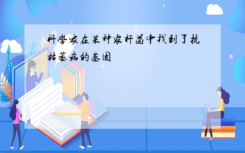 科学家在某种农杆菌中找到了抗枯萎病的基因