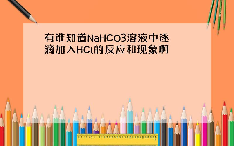 有谁知道NaHCO3溶液中逐滴加入HCl的反应和现象啊