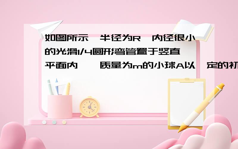 如图所示,半径为R,内径很小的光滑1/4圆形弯管置于竖直平面内,一质量为m的小球A以一定的初速度进入管内