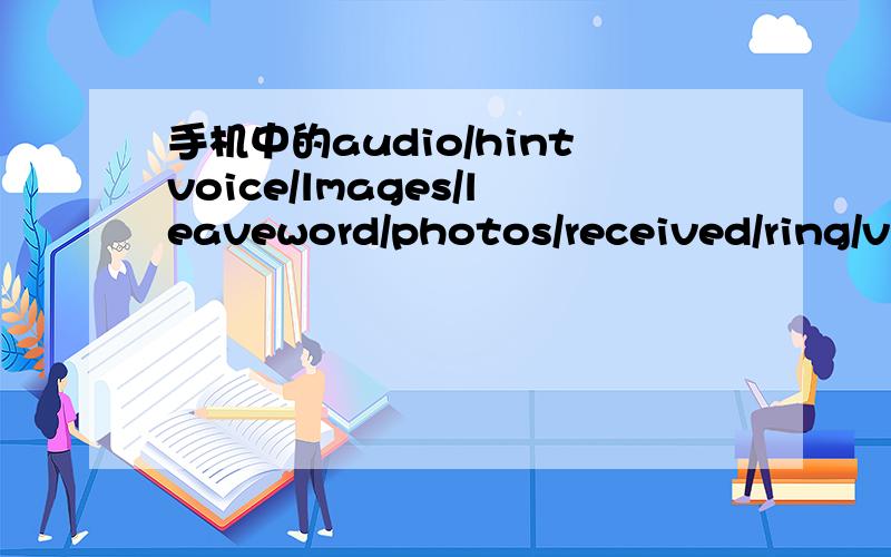 手机中的audio/hintvoice/lmages/leaveword/photos/received/ring/vi