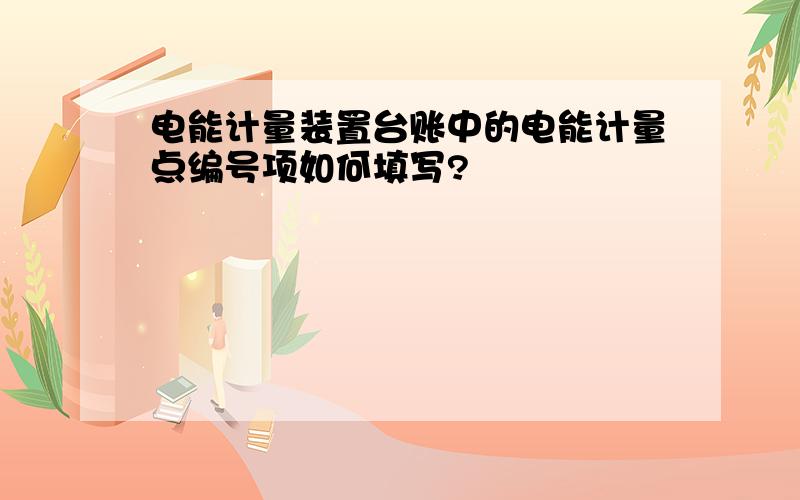 电能计量装置台账中的电能计量点编号项如何填写?