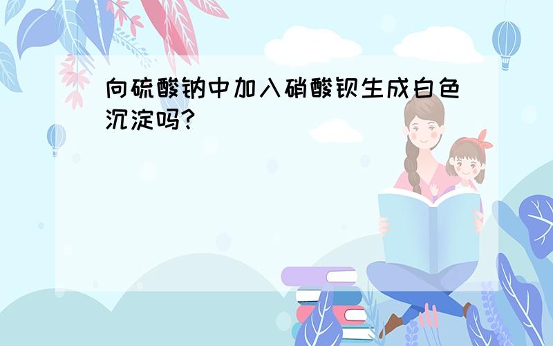 向硫酸钠中加入硝酸钡生成白色沉淀吗?