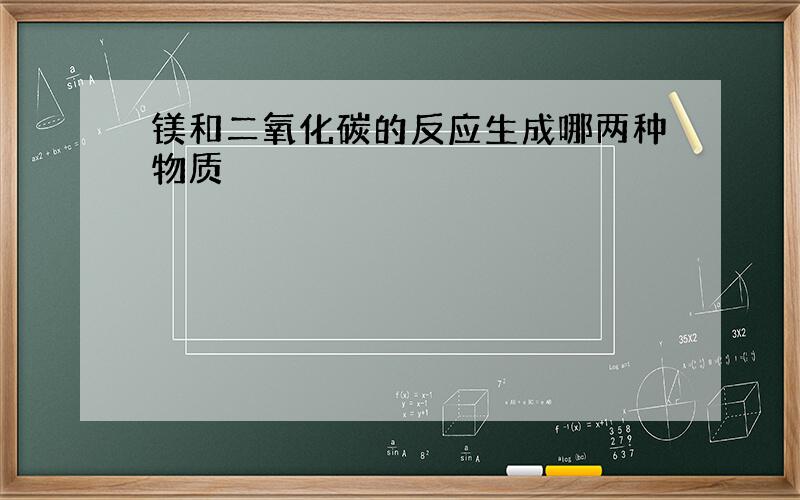 镁和二氧化碳的反应生成哪两种物质