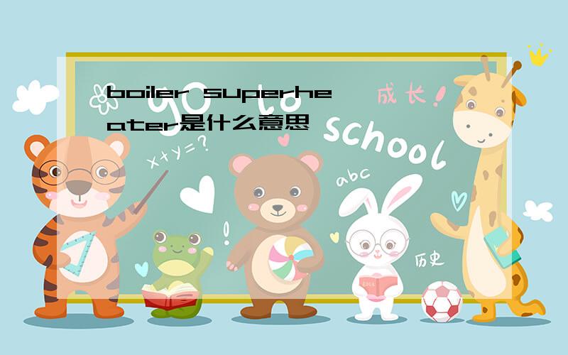 boiler superheater是什么意思