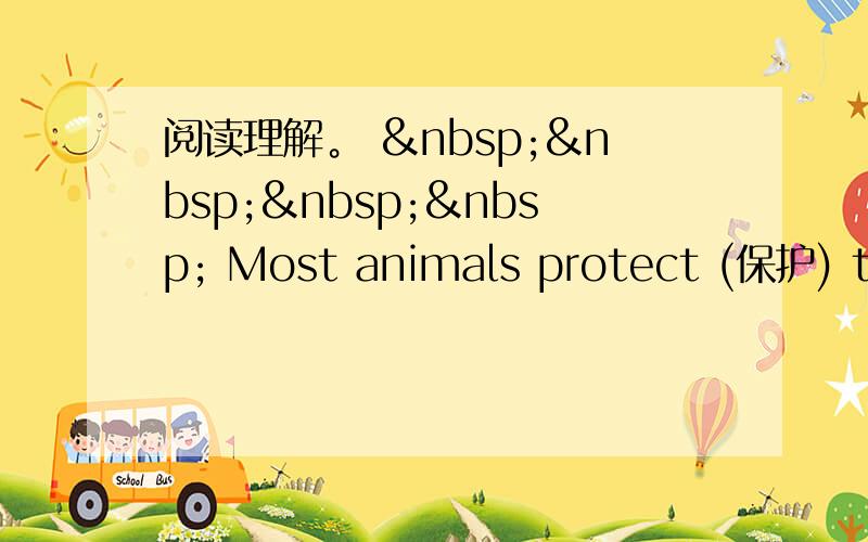 阅读理解。      Most animals protect (保护) the