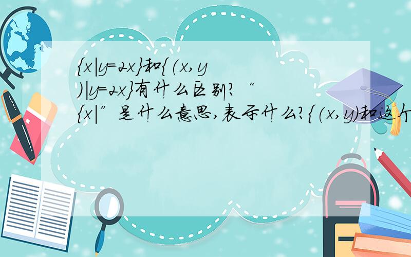 {x|y=2x}和{(x,y)|y=2x}有什么区别?“{x|”是什么意思,表示什么?{(x,y)和这个有什么区别?是实