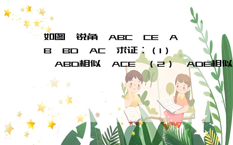 如图,锐角△ABC,CE⊥AB,BD⊥AC,求证：（1）△ABD相似△ACE,（2）△ADE相似△ABC