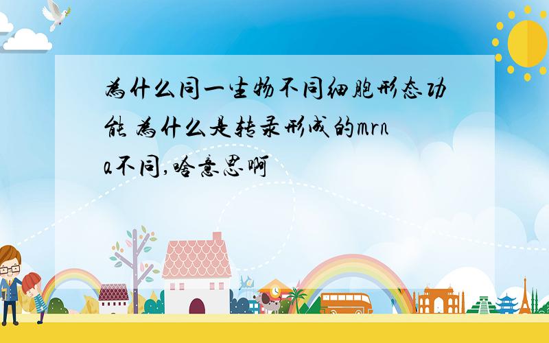 为什么同一生物不同细胞形态功能 为什么是转录形成的mrna不同,啥意思啊