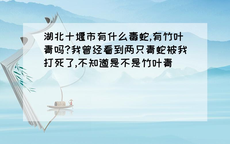 湖北十堰市有什么毒蛇,有竹叶青吗?我曾经看到两只青蛇被我打死了,不知道是不是竹叶青