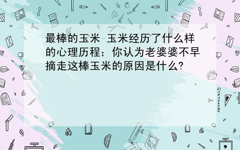 最棒的玉米 玉米经历了什么样的心理历程；你认为老婆婆不早摘走这棒玉米的原因是什么?