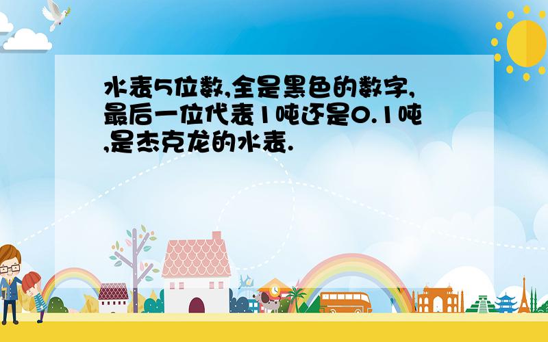 水表5位数,全是黑色的数字,最后一位代表1吨还是0.1吨,是杰克龙的水表.