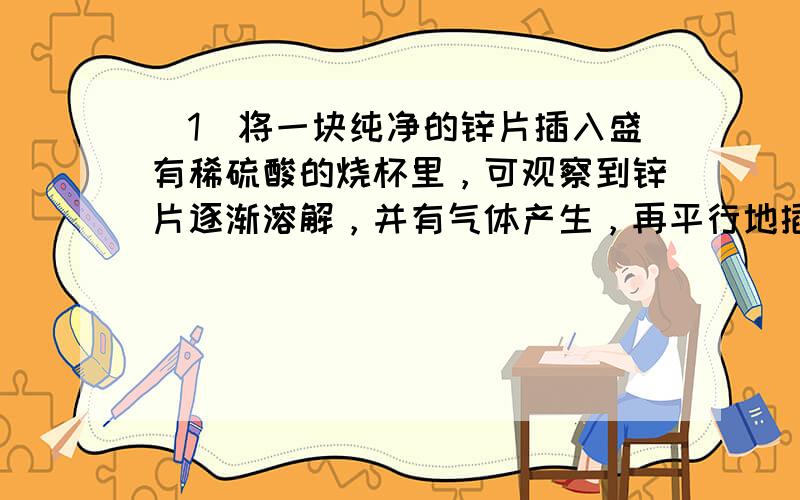 （1）将一块纯净的锌片插入盛有稀硫酸的烧杯里，可观察到锌片逐渐溶解，并有气体产生，再平行地插入一块铜片，可观察到铜片上_