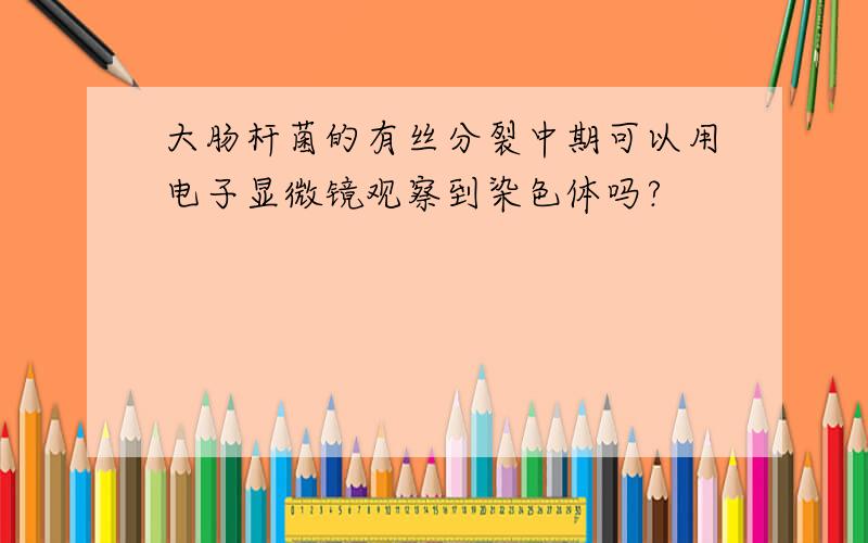 大肠杆菌的有丝分裂中期可以用电子显微镜观察到染色体吗?