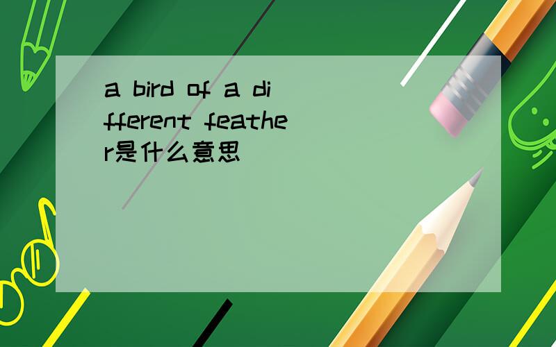 a bird of a different feather是什么意思