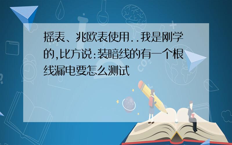 摇表、兆欧表使用..我是刚学的,比方说:装暗线的有一个根线漏电要怎么测试