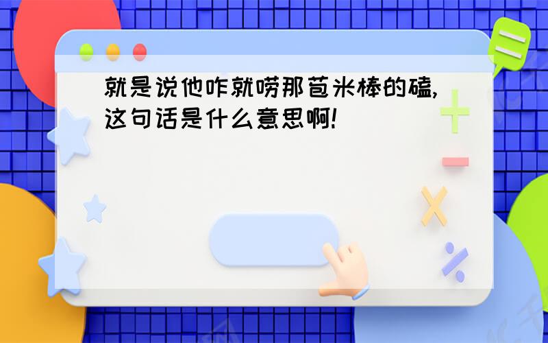 就是说他咋就唠那苞米棒的磕,这句话是什么意思啊!