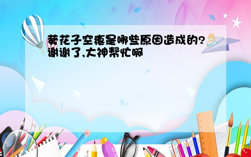 葵花子空瘪是哪些原因造成的?谢谢了,大神帮忙啊