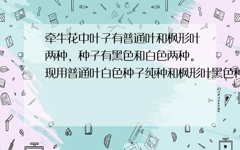 牵牛花中叶子有普通叶和枫形叶两种，种子有黑色和白色两种。现用普通叶白色种子纯种和枫形叶黑色种子纯种作为亲本进行杂交，得到