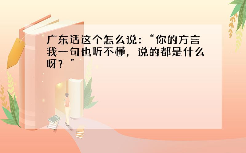 广东话这个怎么说：“你的方言我一句也听不懂，说的都是什么呀？”