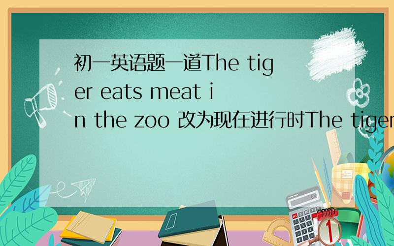 初一英语题一道The tiger eats meat in the zoo 改为现在进行时The tiger （ ）（