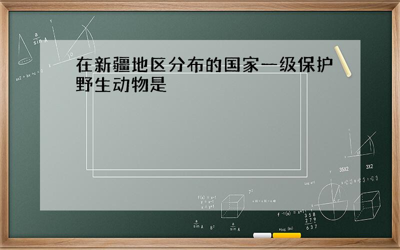 在新疆地区分布的国家一级保护野生动物是