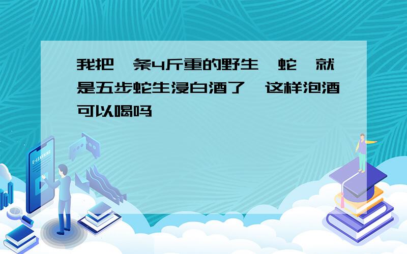 我把一条4斤重的野生蕲蛇,就是五步蛇生浸白酒了,这样泡酒可以喝吗