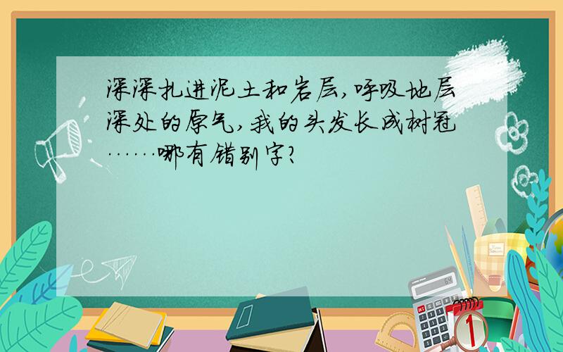 深深扎进泥土和岩层,呼吸地层深处的原气,我的头发长成树冠……哪有错别字?