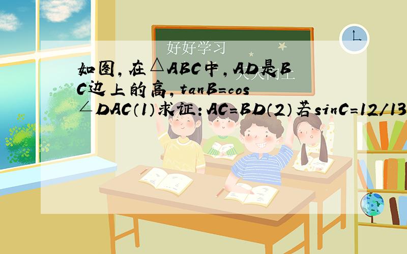 如图,在△ABC中,AD是BC边上的高,tanB=cos∠DAC（1）求证：AC=BD（2）若sinC=12/13,BC