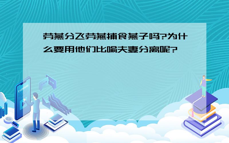 劳燕分飞劳燕捕食燕子吗?为什么要用他们比喻夫妻分离呢?