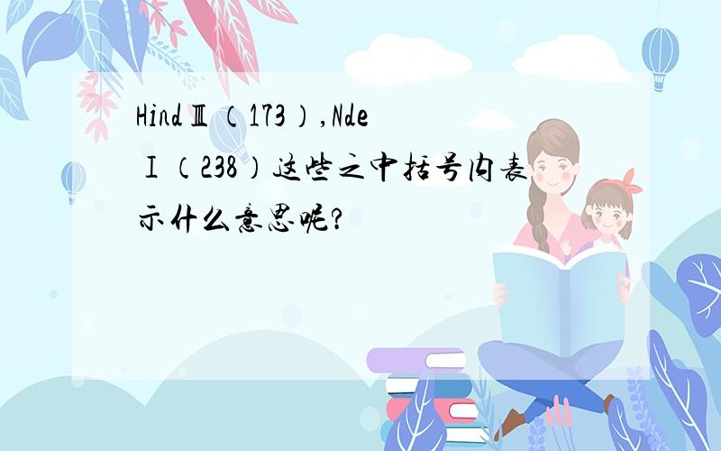 HindⅢ（173）,NdeⅠ（238）这些之中括号内表示什么意思呢?