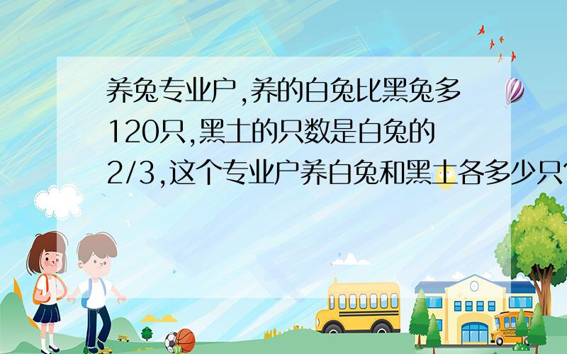 养兔专业户,养的白兔比黑兔多120只,黑土的只数是白兔的2/3,这个专业户养白兔和黑土各多少只?