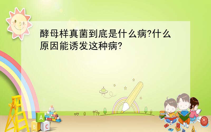 酵母样真菌到底是什么病?什么原因能诱发这种病?