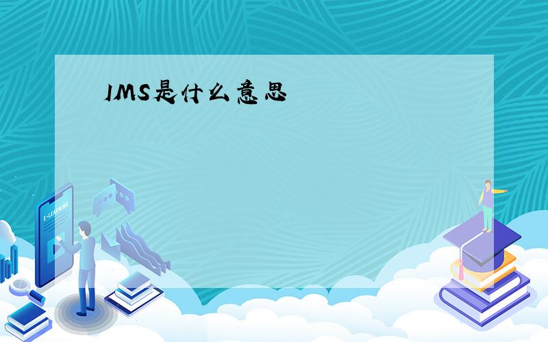 IMS是什么意思