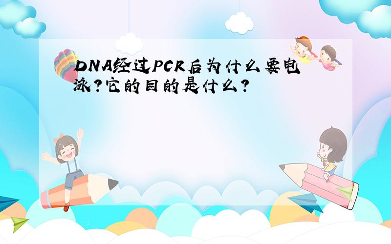 DNA经过PCR后为什么要电泳?它的目的是什么?